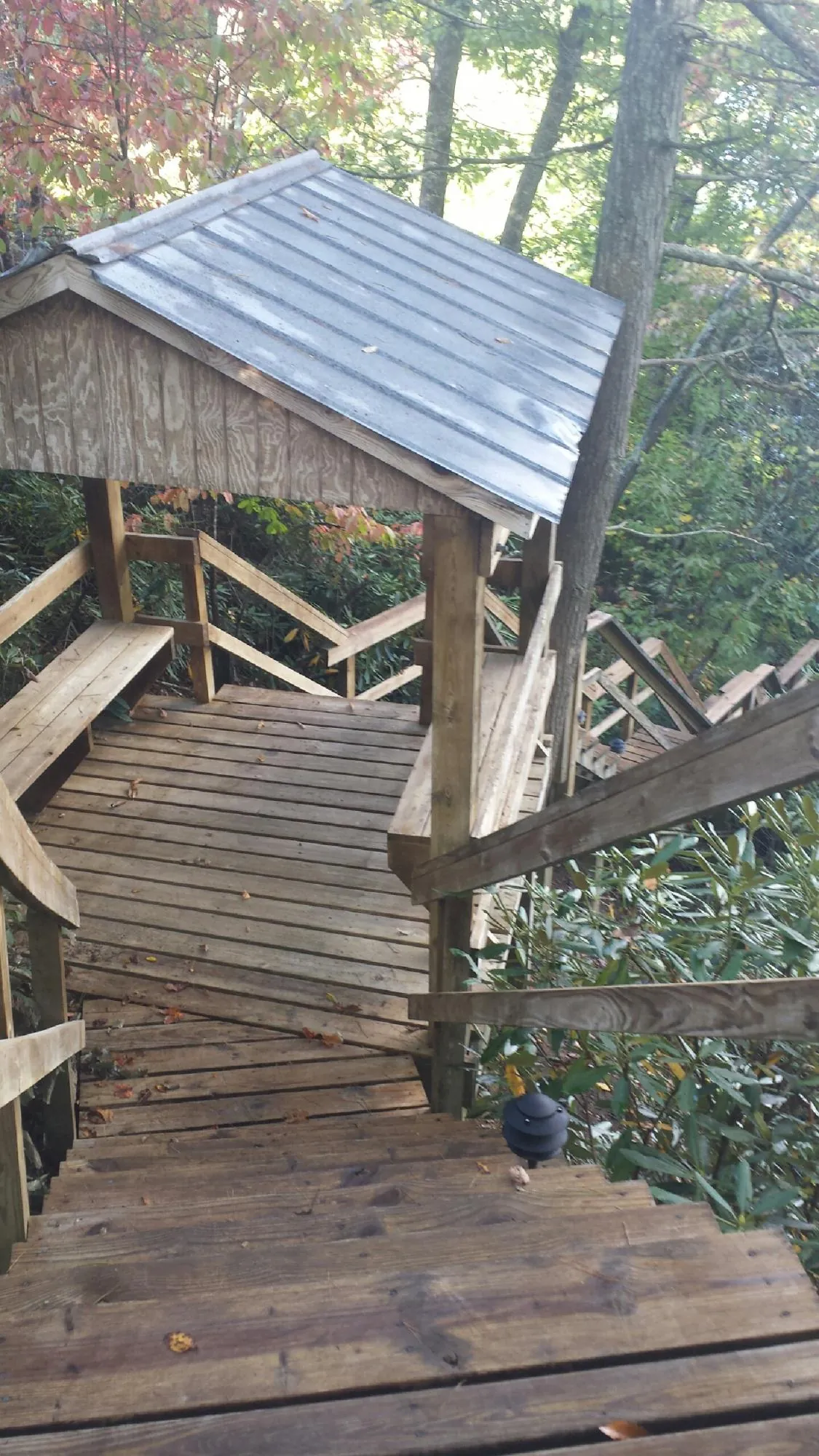 Metal roofed shelter over wooden steps on a wooded walkway — Skylight Repair & Installation work by our crew in Groveland