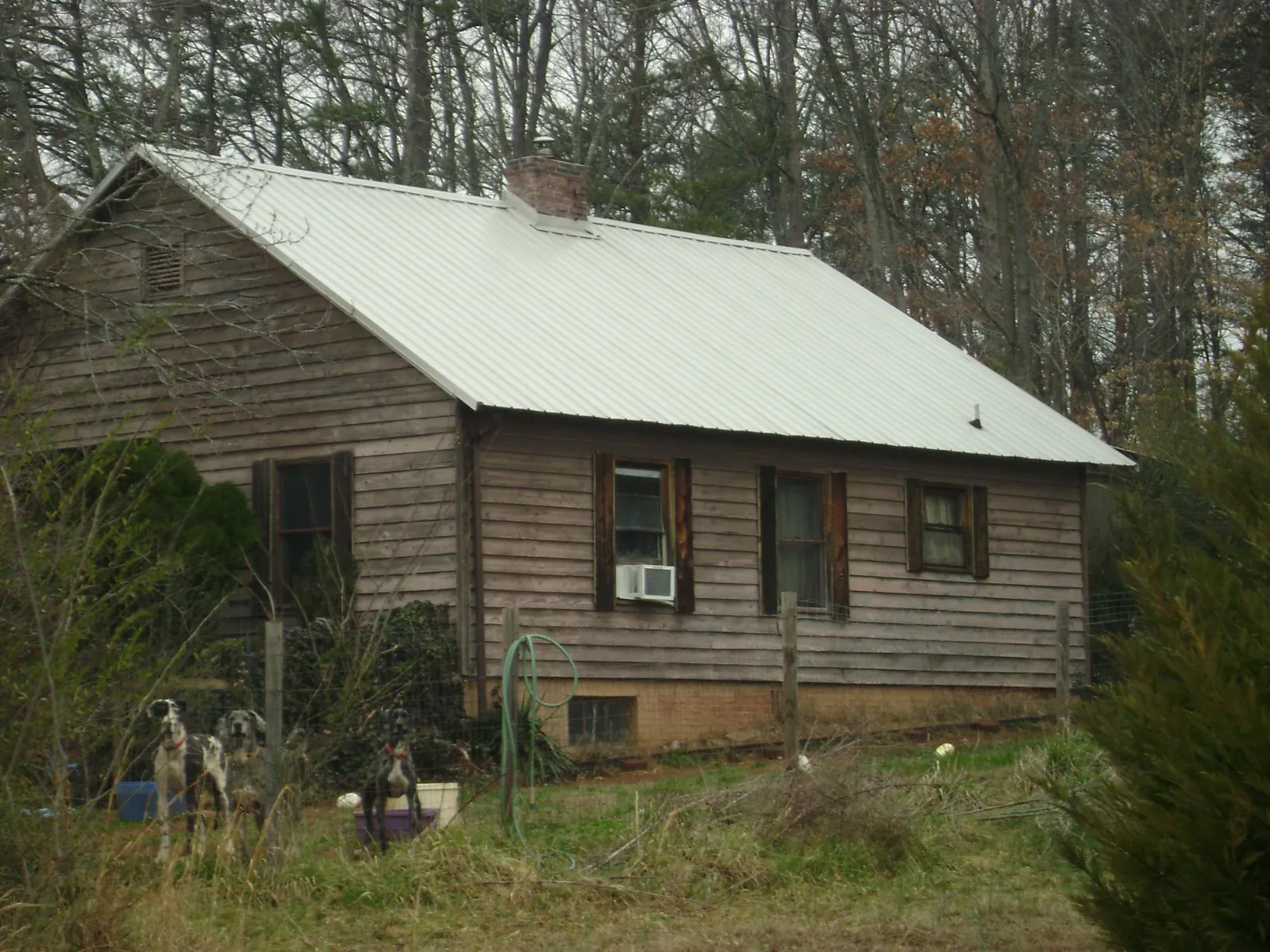 White metal roof on an old wood sided farmhouse, from a Asphalt Shingle Roof Repair job in Groveland